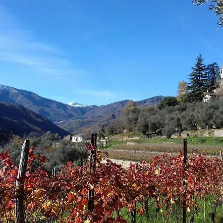 Agriturismo A Ca Du Paiperu Pieve di Teco Εξωτερικό φωτογραφία